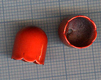 Calotte 12X11mm. Rouge