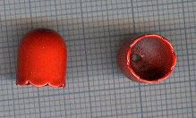 Calotte 11X9mm. Rouge