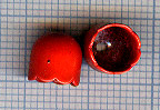 Calotte 8X8mm. Rouge