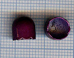 Calotte 8X8mm. Mauve