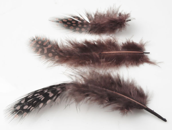 Code: D10339 (Plume Marron 5 a 12cm17/01/2012) 