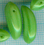 Cliquer pour agrandir